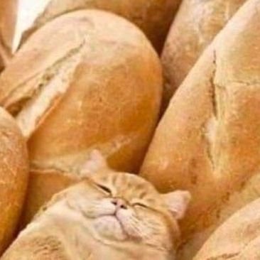 zhujwakeki's profile picture. 掩“目”盗“心”