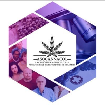 Somos el gremio de empresas pequeñas y medianas de la industria  del Cannabis. Promovemos la regulación en Latam. Apoyamos a productores y usuarios.