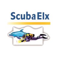 Buceo Tabarca(@ScubaElx) 's Twitter Profile Photo