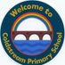 Coldstream Primary School (@coldstreamps20) Twitter profile photo Coldstream Primary School (@coldstreamps20) Twitter profile photo