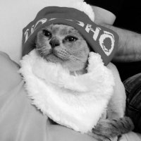 John Paul (JP) Schell (@johnpaulschell1) 's Twitter Profile