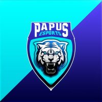Papus Esports (@esportspapus) 's Twitter Profile Photo Papus Esports (@esportspapus) 's Twitter Profile Photo