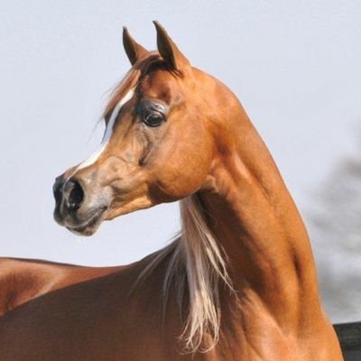 Cwwc0QB2hIJeyeB's profile picture. 