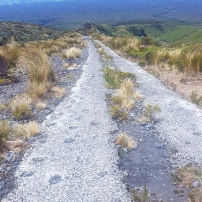 samhunt17's profile picture. 