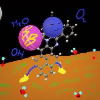 Benedetta Casu (@plastic_spin) 's Twitter Profile Photo