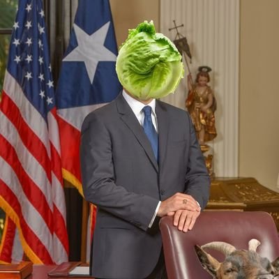 Ya. I 🖤 Trump Trolls. I ♥️ |🇵🇷. Acá se twittea en dos.
