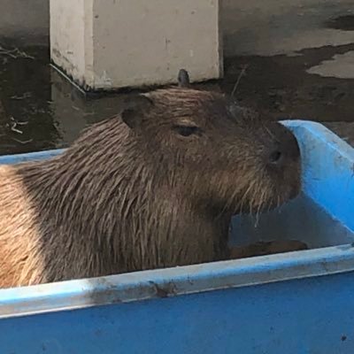 Caldrich22's profile picture. Make change