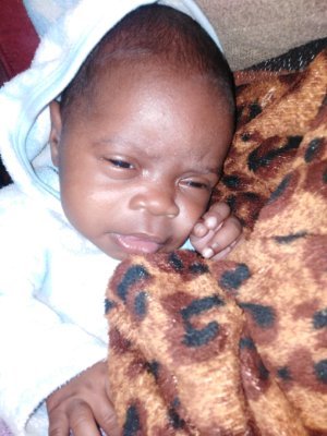 freemansingani2's profile picture. 