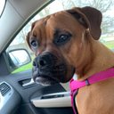 Melissa Burch - @Melissa96050517 - Twitter