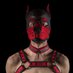 Pup Kit (@pup_kit_wolf) Twitter profile photo Pup Kit (@pup_kit_wolf) Twitter profile photo