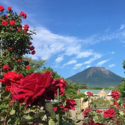 catmama0328's profile picture. 