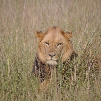 roadmon84's profile picture. 