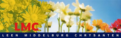 martien1702's profile picture. Topchrysanten, LeenMiddelburgChrysanten, Zentoo, Fleurmarket