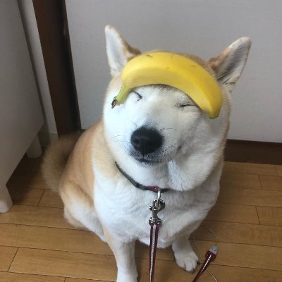 britomuito's profile picture. Um cara meio louco.
Que viver nesse mundo chamado de Terra .