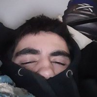 Alexander Bush (@bush_gui) 's Twitter Profile