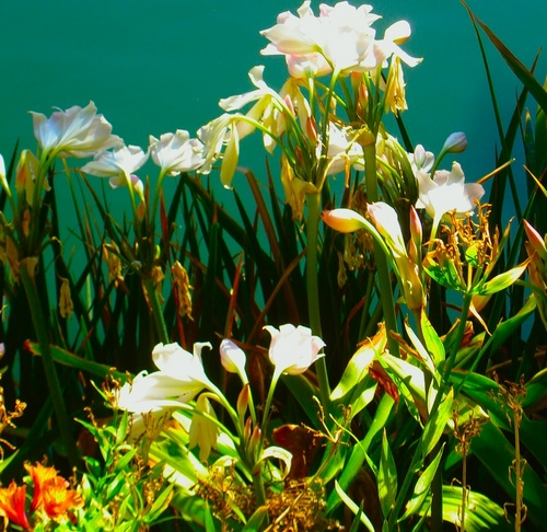 The Depth of Your Passion + The Clarity of Your Action = The Length of Your Vision