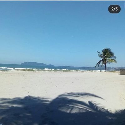 Francis11645083's profile picture. LA PLAYA