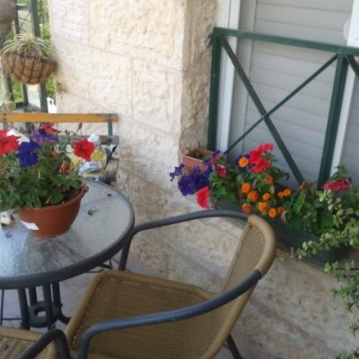 tsiptsipor's profile picture. 