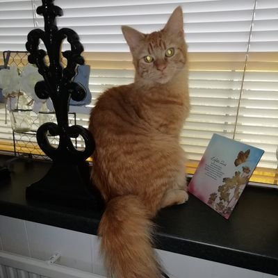 RijkseVd's profile picture. 