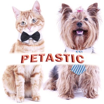 PetasticPets Profile Picture