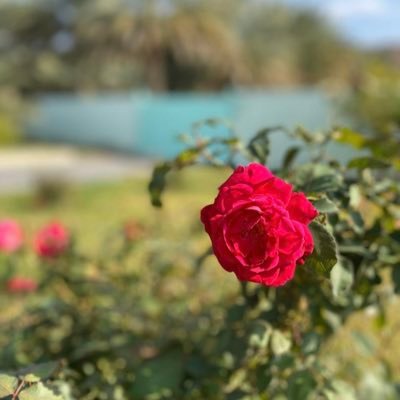 malak2b1's profile picture. 