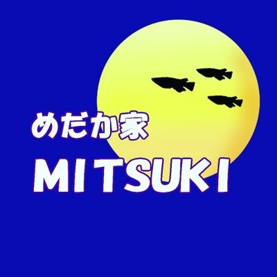 medaka_mitsuki Profile Picture