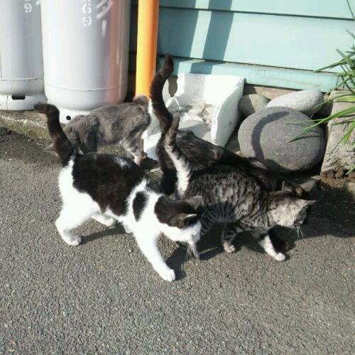 insideWrapper's profile picture. ほんとはバンドしかしたくないです。嘘です。宅録もしたいです。社会人にねんめ。働きたくないです。不労所得が欲しいです。本当の幸せを誰か教えて欲しいです。本当のやさしさを誰か教えて欲しいです。本当の恋愛を誰か教えて欲しいです。