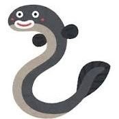 north_eel's profile picture. HU→KU DPRI