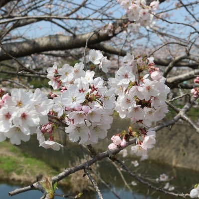 長崎市琴海地域センターさんのプロフィール画像