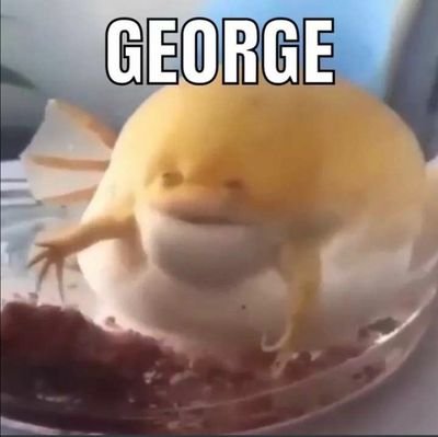 GeorgeS26608981's profile picture. 