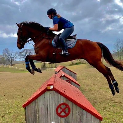 OU alum (#BoomerSooner), #OTTB advocate, and @TheWho is my jam. side-eye level: expert.