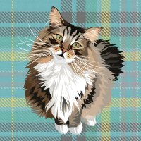 Maison de Moggy (@maisondemoggy) 's Twitter Profile