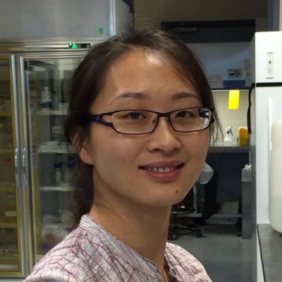 Dan Zhang Profile