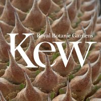 Kew Science(@KewScience) 's Twitter Profileg