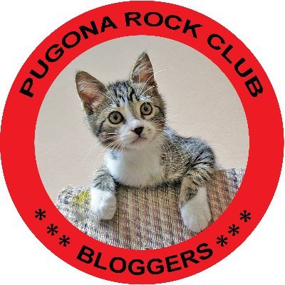 Pugona Rock Club #beechat #bbloggers #thebloggershub #theclqrt #nzbloggers #bloggerloveshare #teacupclub #bloggersblast #blissbloggers #bloggerstribe #bloggerba
