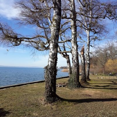 radler171's profile picture. Biken, Rennrad, Skifahren