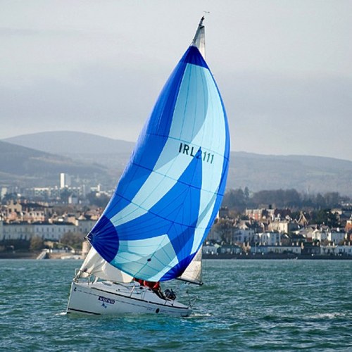 rofogo_Irl's profile picture. 