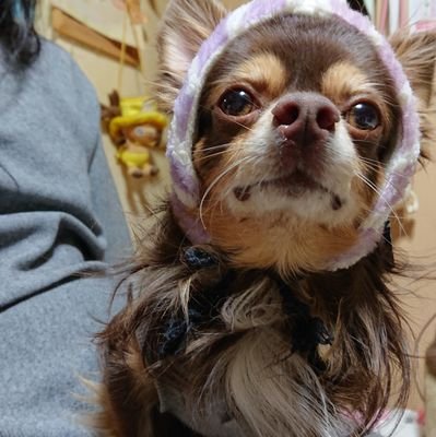 xKR64PTgcSWHx2B's profile picture. スナック夜楽 よろしく😆