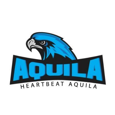 The official Heartbeat Aquila 4.4k Overwatch Team, owned by @GamingHeartbeat
Graphics made by: @SombraSupport