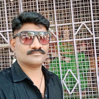 VivekShinge1's profile picture. 