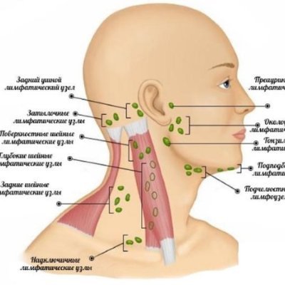 dmdoshop's profile picture. 