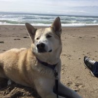 Sierra (@giggndigg) 's Twitter Profile