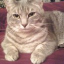 Sierra Garner - @BellaPiper1 - Twitter