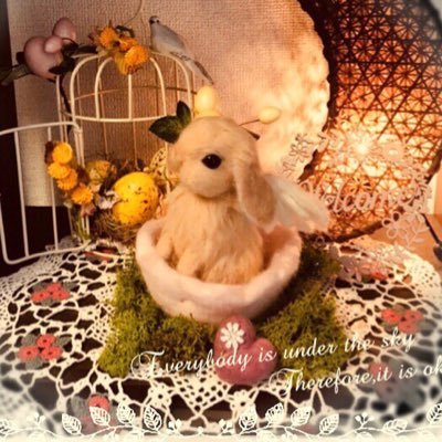豆太郎🌗さんのプロフィール画像