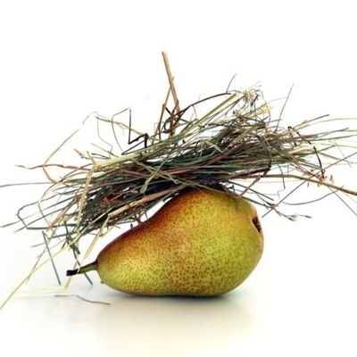 model3_p's profile picture. Next Time