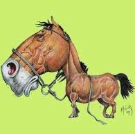 PepeRoni_84's profile picture. De un lugar...