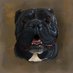 Miles Bensky (@mbenskydesigns) Twitter profile photo Miles Bensky (@mbenskydesigns) Twitter profile photo