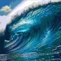 The Blue Wave Is Coming!  #VoteThemAllOut2020 
#VoteOutCorruption