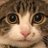 TuesdayRwby's profile image