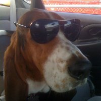 John Hall (@johnhallups) 's Twitter Profile